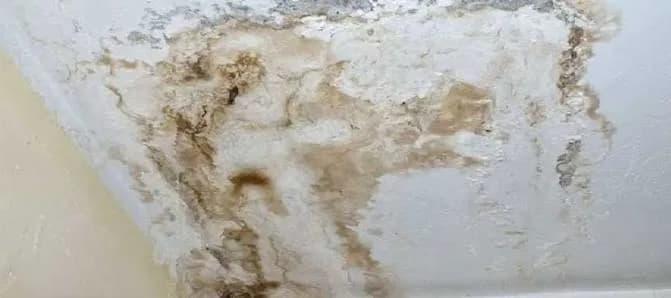 Penyebab Atap Rumah Bocor di Titik yang Sama dan Cara Mengatasinya