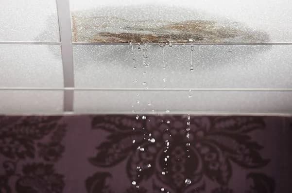 Pilih Mana untuk Atap Bocor: Cat Waterproofing, Aquaproof, atau Membran?